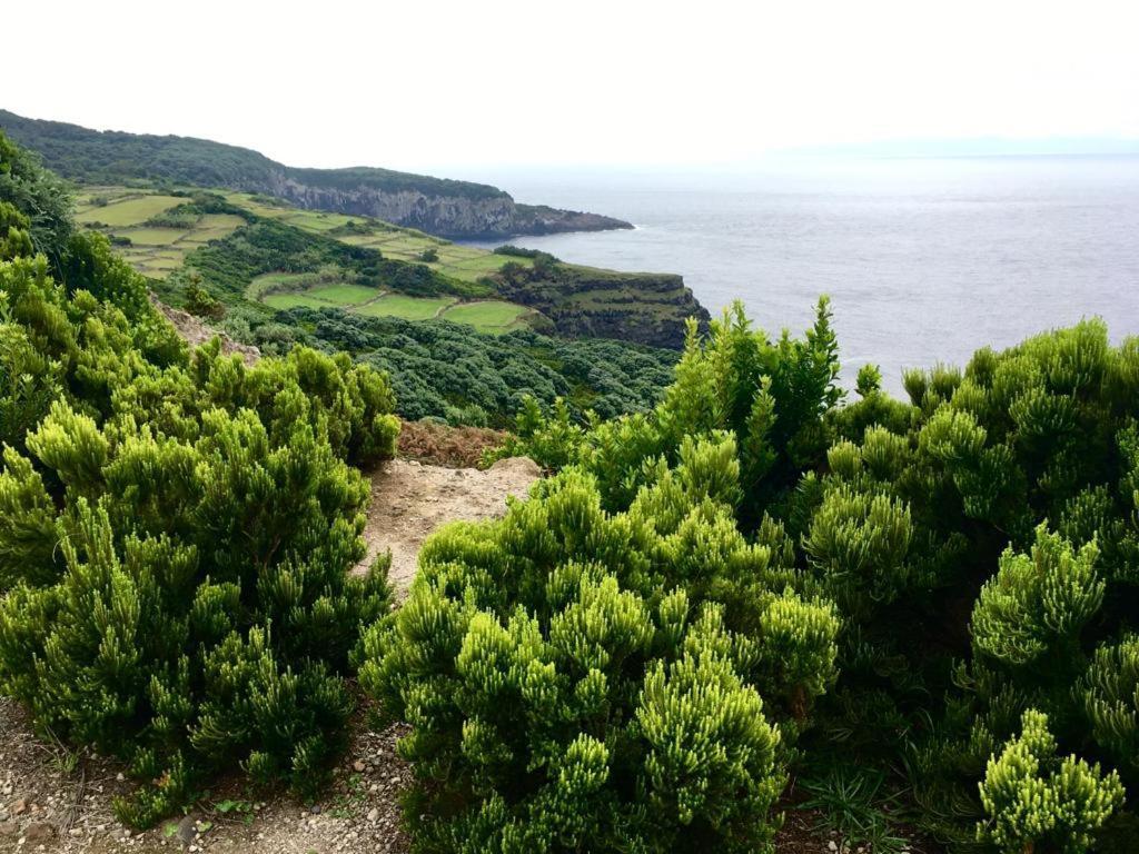 Casa As Dez Βίλα Angra do Heroísmo Εξωτερικό φωτογραφία